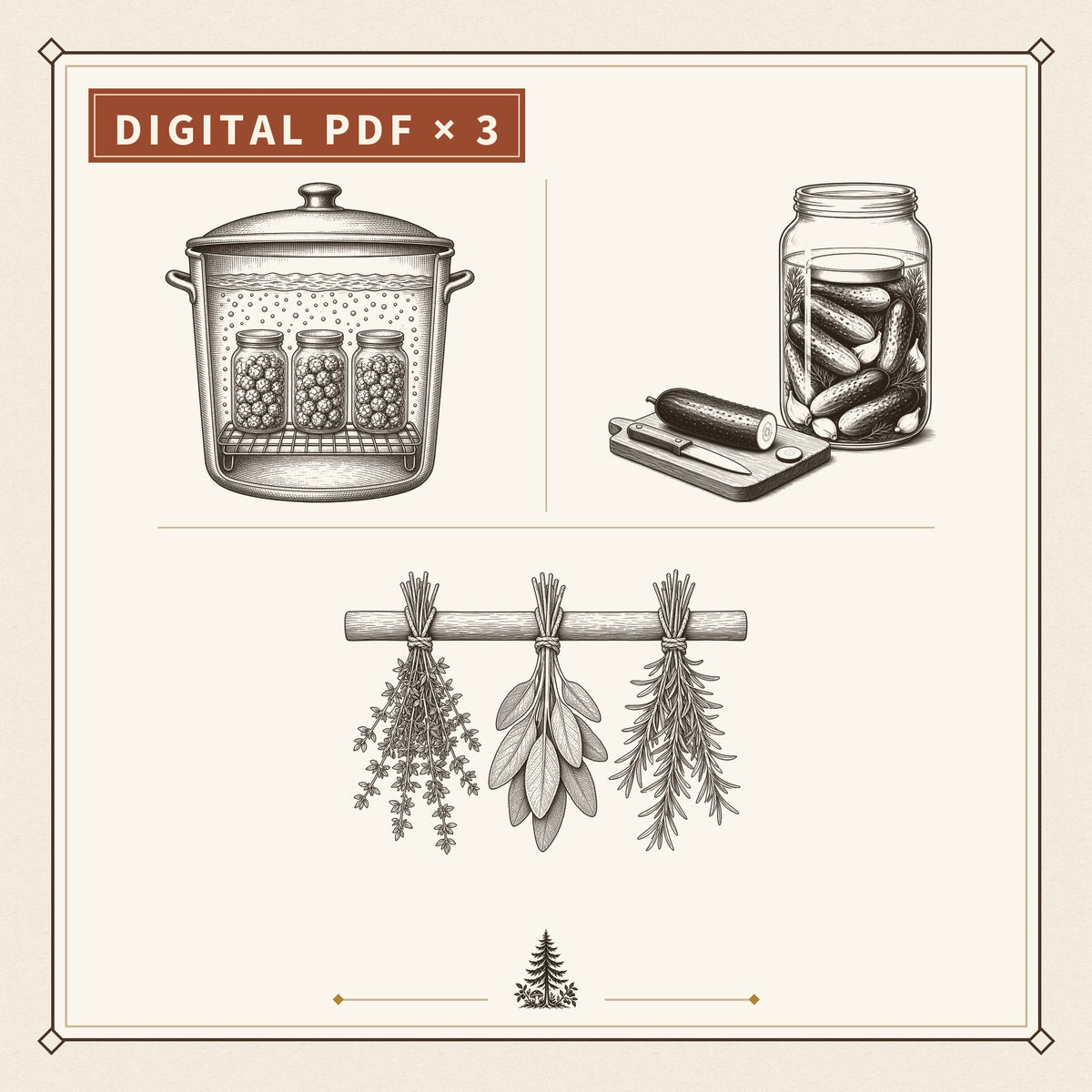 Illustration till Konserveringspaketet – NordvildSkafferi PDF-paket
